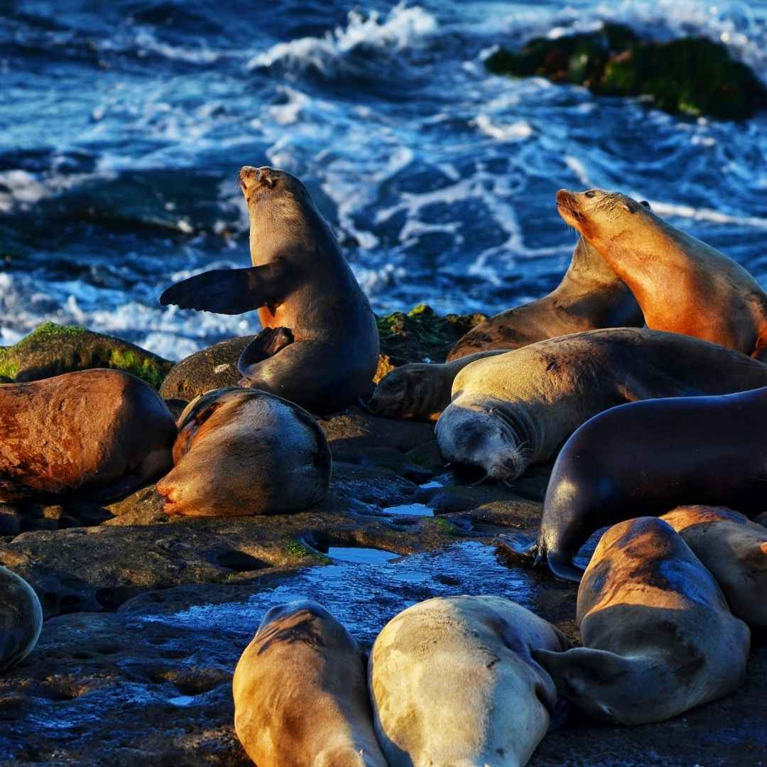 La Jolla, San Diego