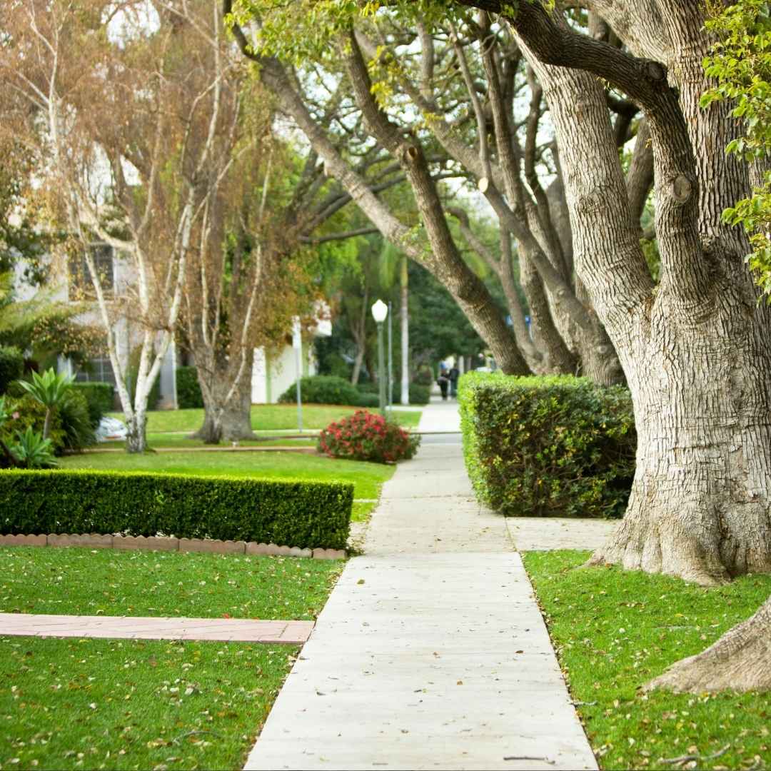 Vista, San Diego